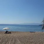 Fevronia's Дрепанон
